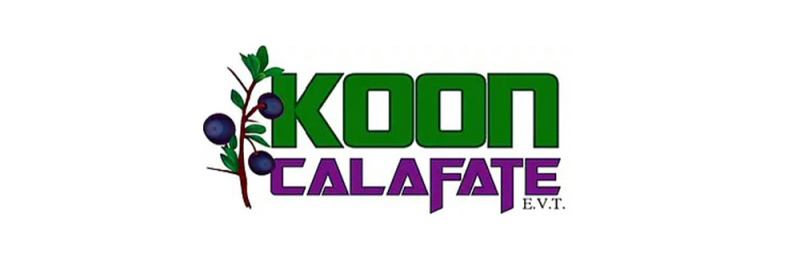 Koon Calafate Leg 17275