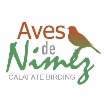 Calafate Birding - Eco Tour Calafate Birding - Eco Tour