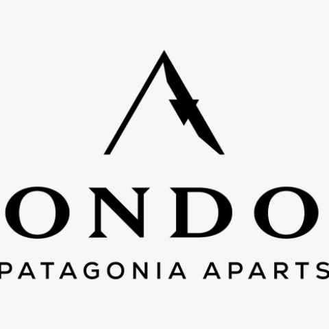 Condor Patagonia Aparts 